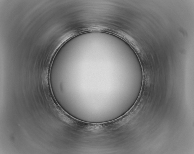 X0000112891186200909041655
