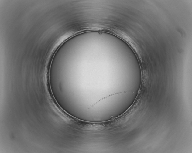 X0000112891187200909041655