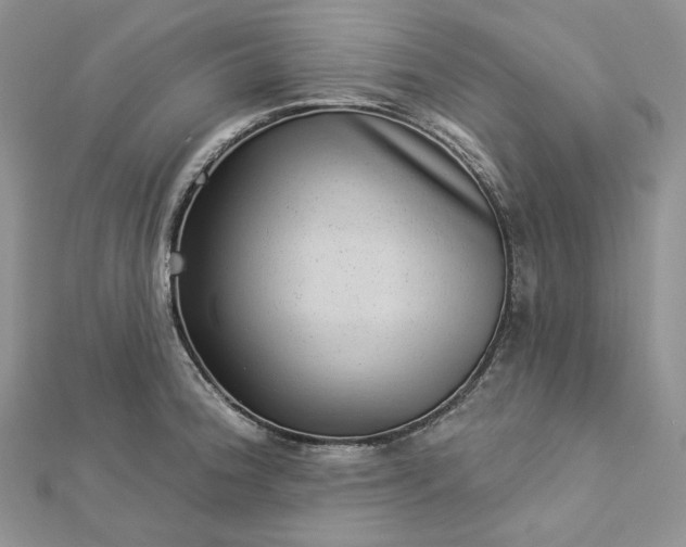 X0000112891188200909041655
