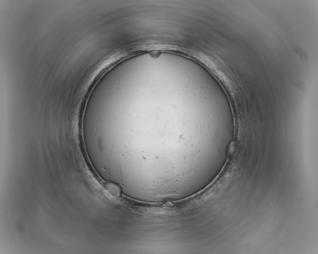 X0000112891189200909041655