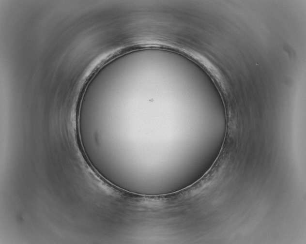 X0000112891191200909041655