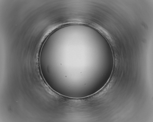 X0000112891192200909041655