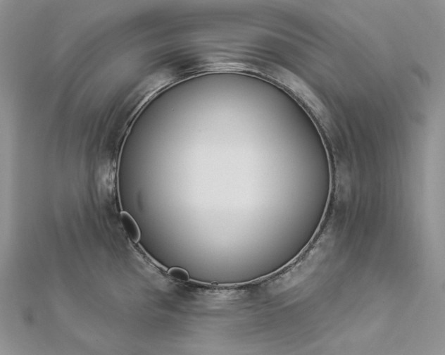 X0000112891193200909041655