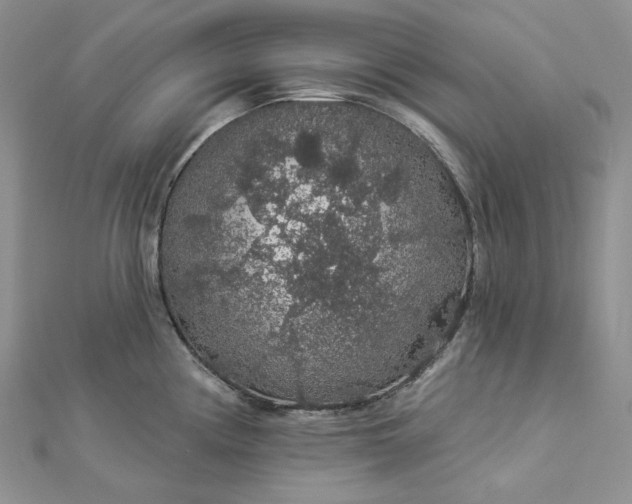 X0000112891194200909041655