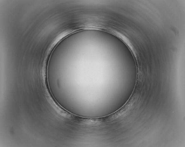 X0000112891195200909041655