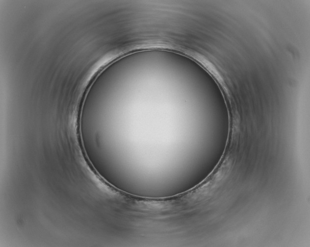 X0000112891197200909041655