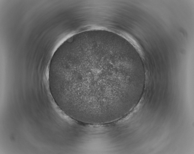 X0000112891198200909041655