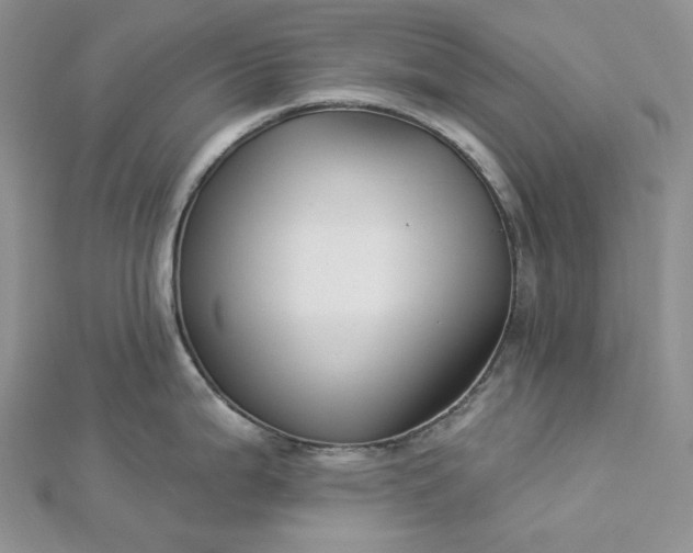 X0000112891199200909041655