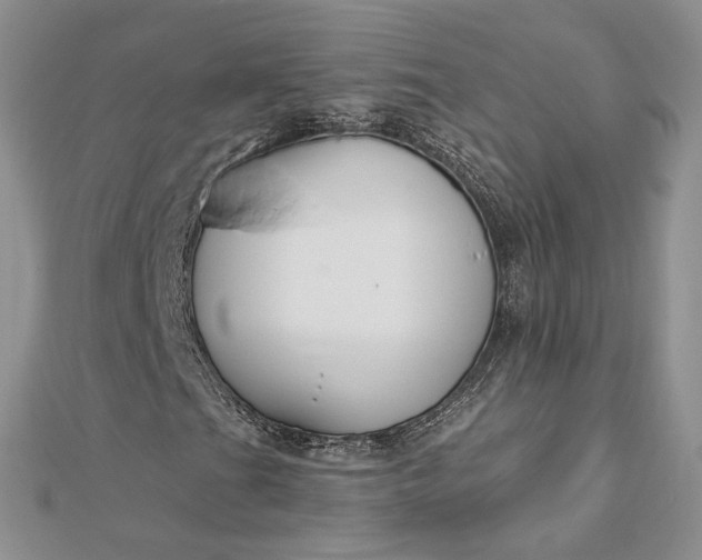 X0000112891201200909041654