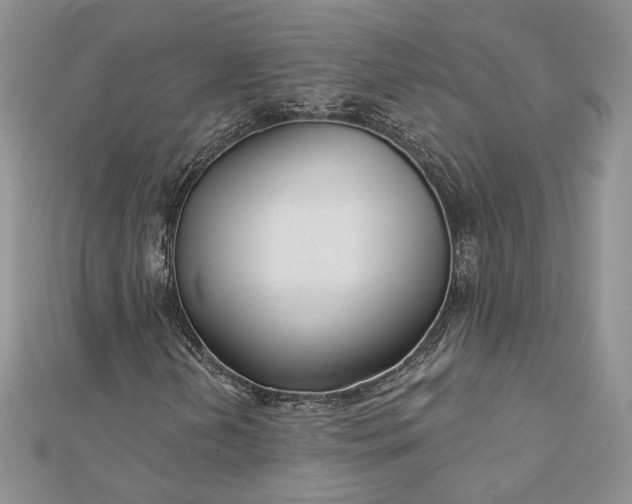 X0000112891202200909041654