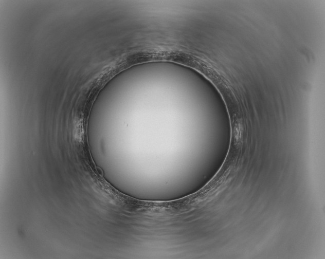 X0000112891204200909041654