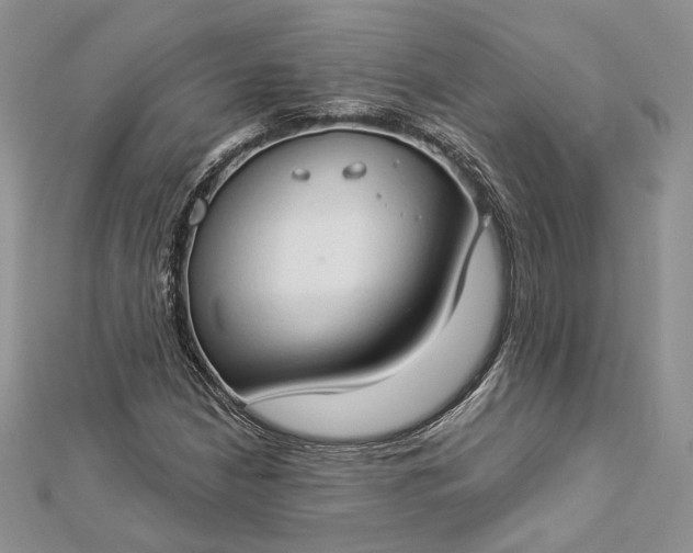 X0000112891210200909041654