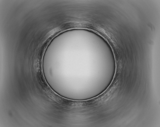 X0000112891211200909041655