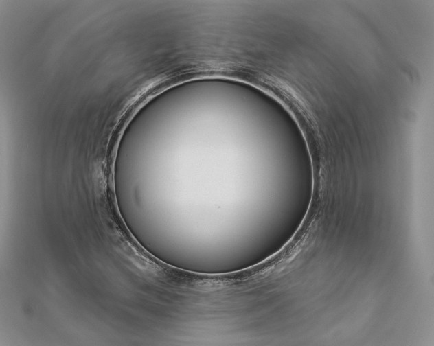 X0000112891212200909041655
