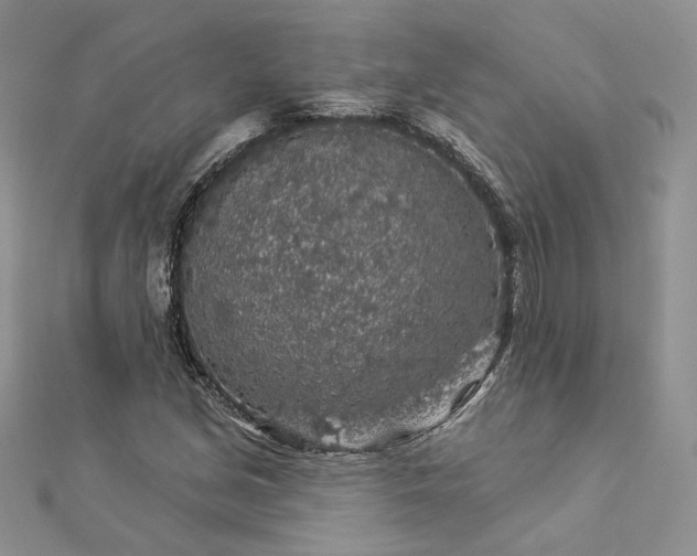 X0000112891213200909041655
