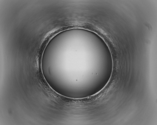 X0000112891214200909041655