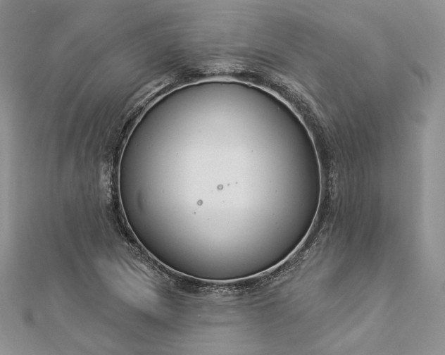 X0000112891217200909041655