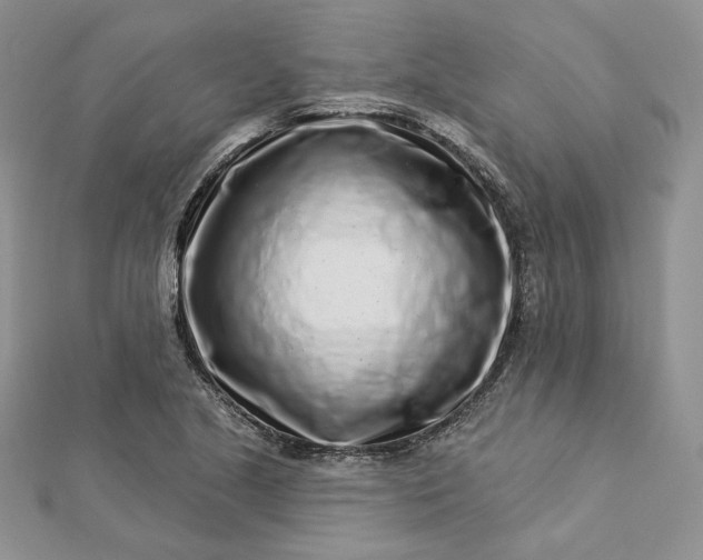 X0000112891221200909041655