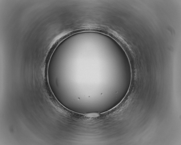 X0000112891222200909041655