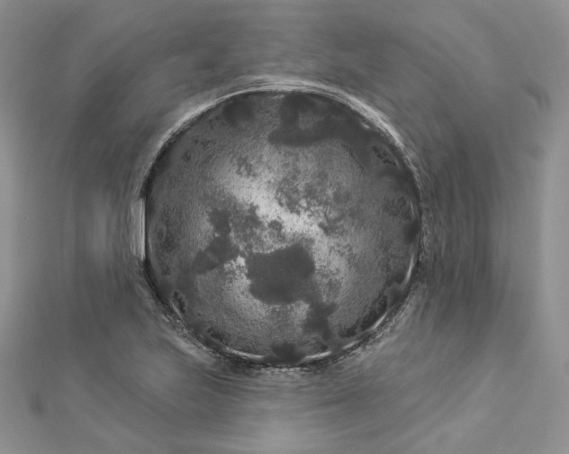 X0000112891223200909041655