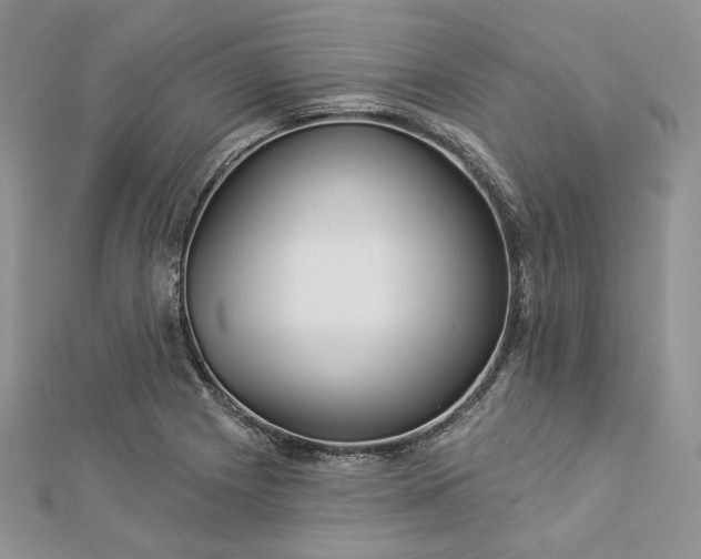 X0000112891225200909041655