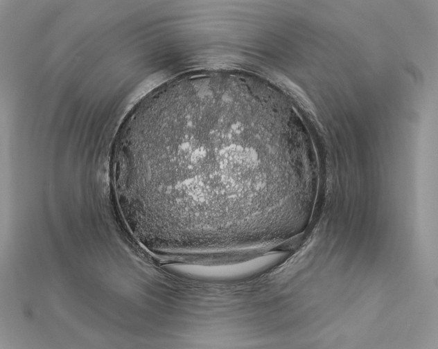 X0000112891226200909041655