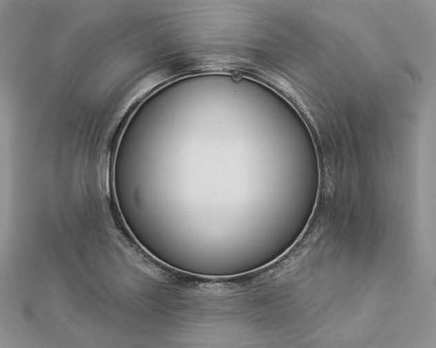 X0000112891227200909041655