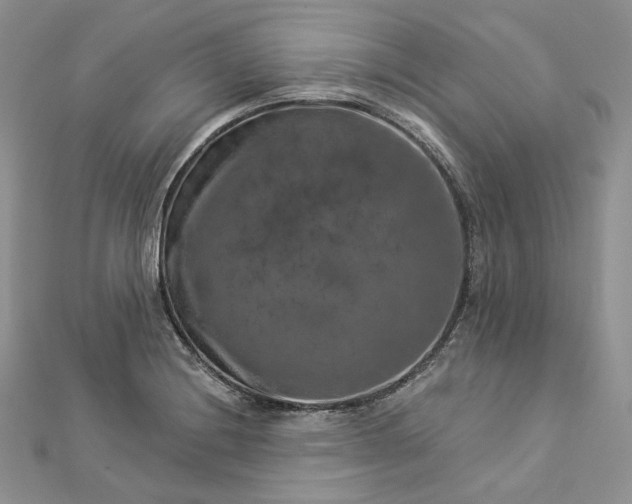 X0000112891228200909041655