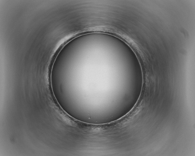 X0000112891230200909041655