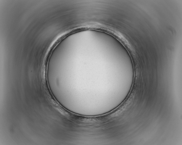 X0000112891232200909041655