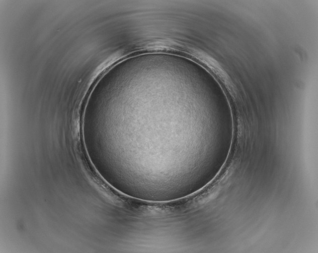 X0000112891234200909041655