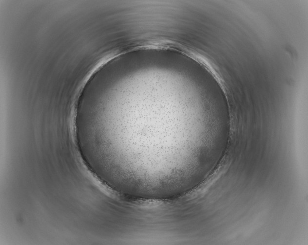 X0000112891235200909041655