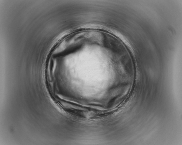 X0000112891237200909041655