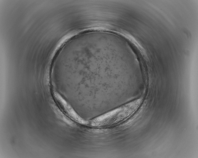 X0000112891240200909041655