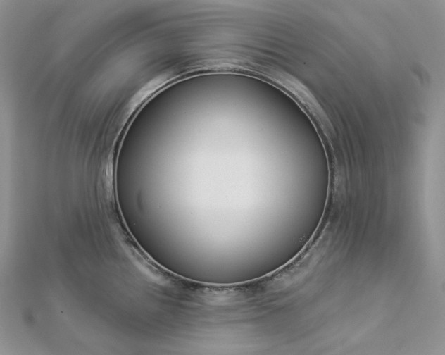 X0000112891242200909041655