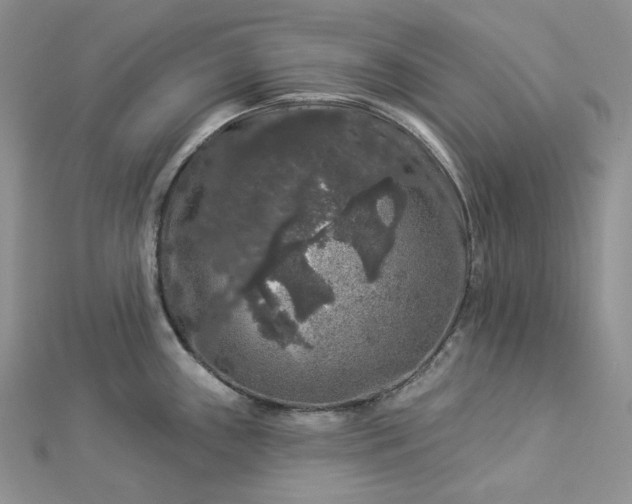 X0000112891243200909041655