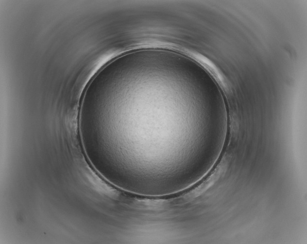 X0000112891244200909041655