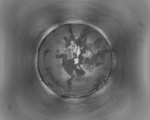 X0000112891245200909041655