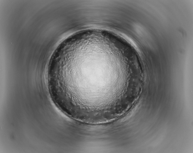 X0000112891247200909041655