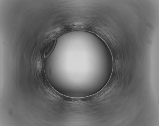 X0000112891250200909041654