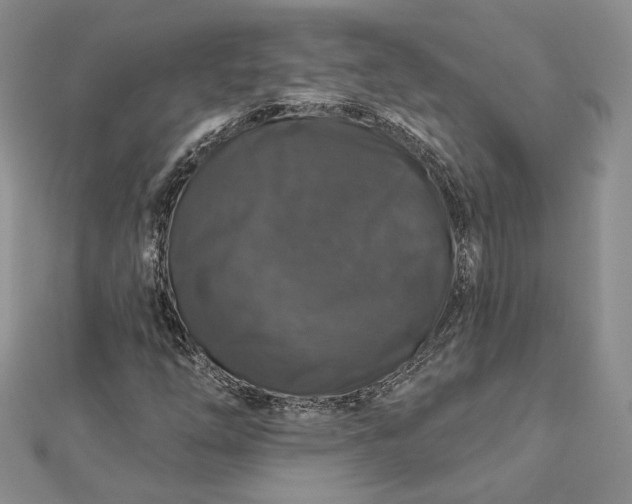 X0000112891254200909041654