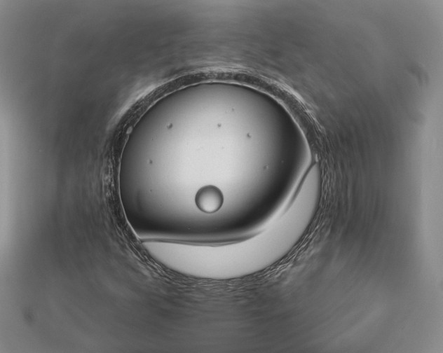 X0000112891255200909041654