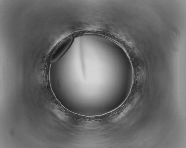 X0000112891256200909041654