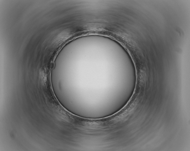 X0000112891257200909041654