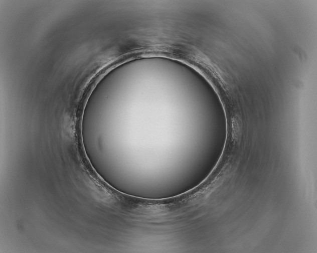X0000112891260200909041654