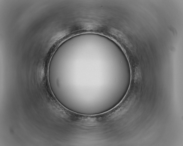 X0000112891261200909041654
