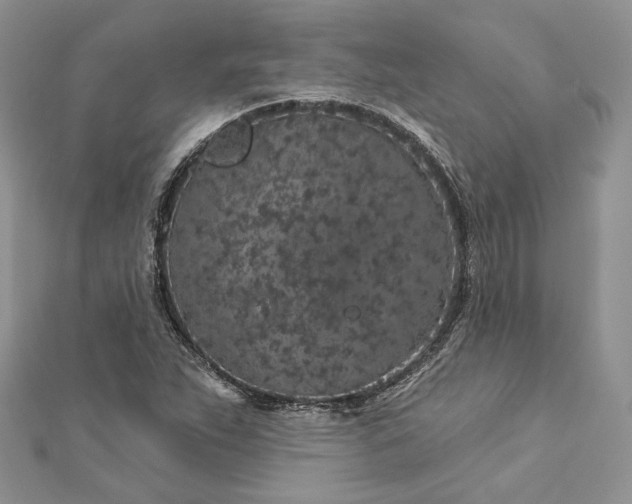 X0000112891263200909041654