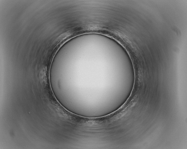 X0000112891265200909041654