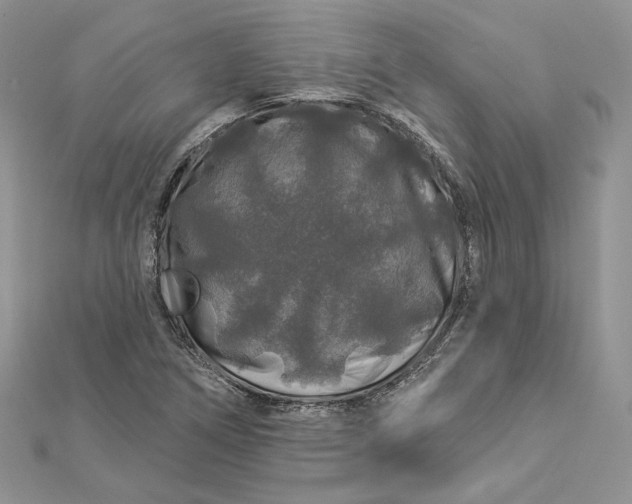 X0000112891266200909041654