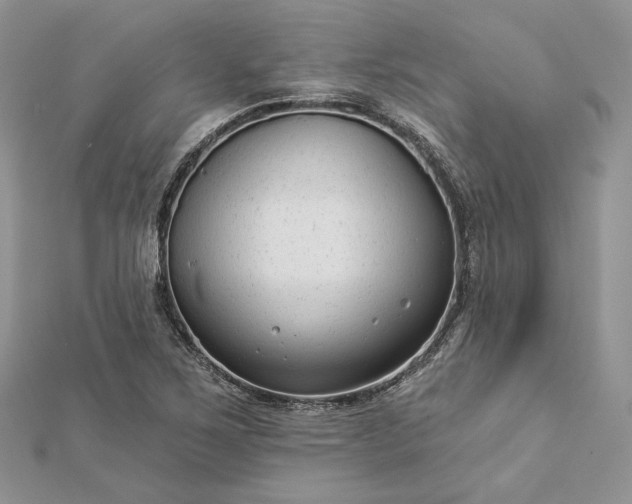 X0000112891267200909041654